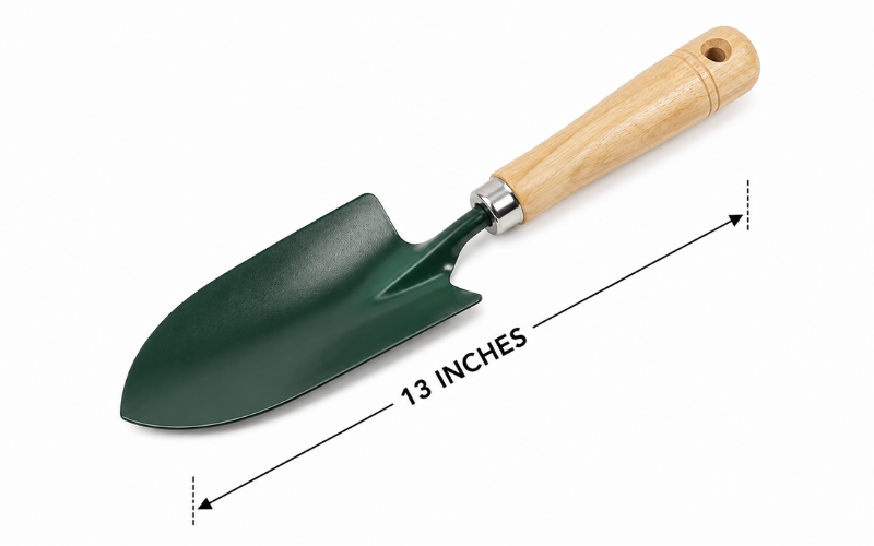 13 Inches Long