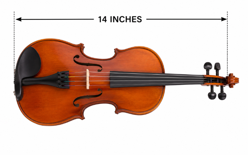 14 Inches Long 
