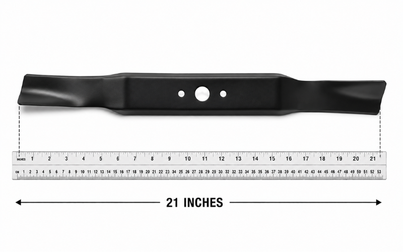 21 Inches Long
