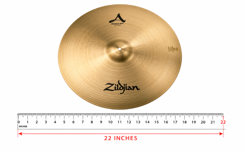 22 Inches Long