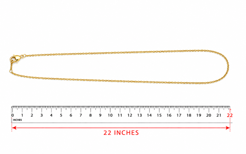 22 Inches Long