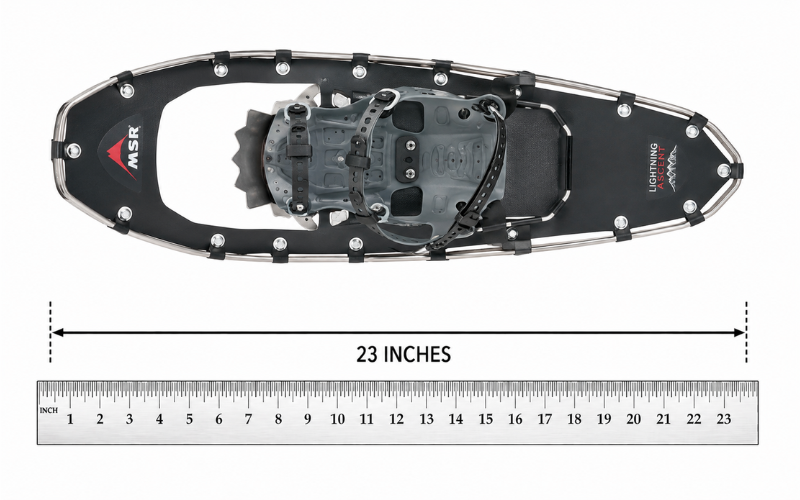 23 Inches Long
