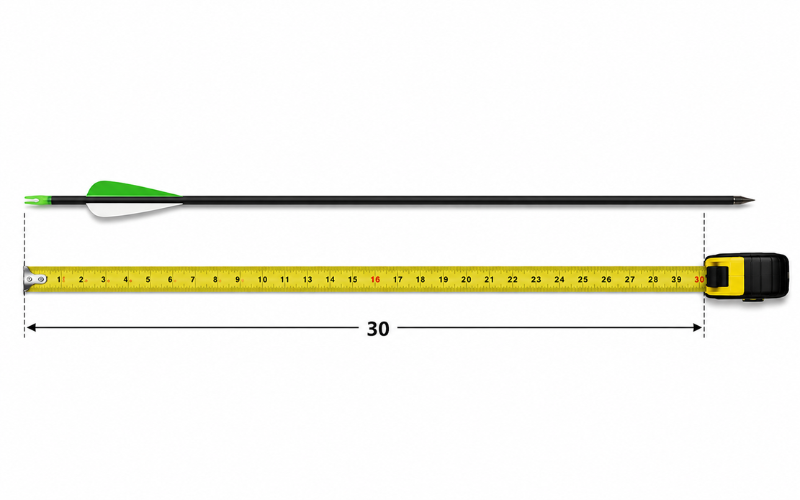 30 Inches Long