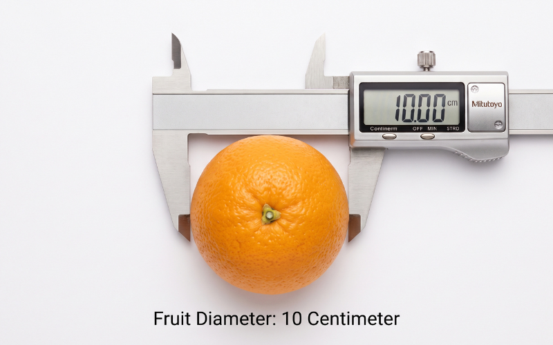 How Big is 10 Centimeter