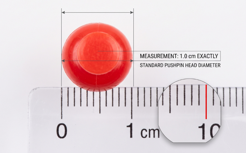 How Big is 1cm 