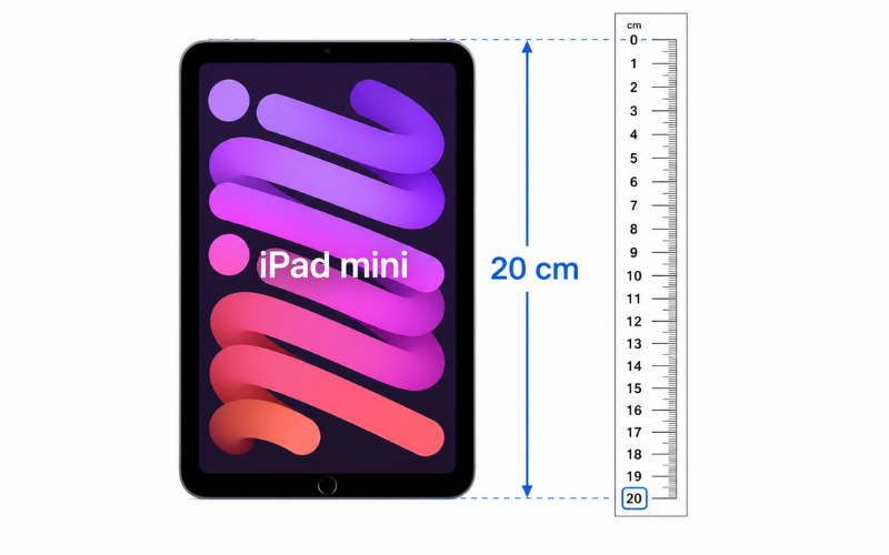 How Big is 20 Centimeters 