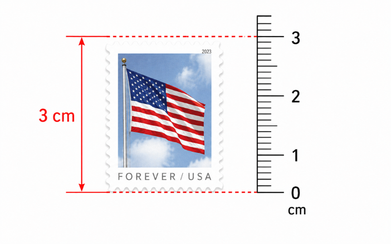 How Big is 3 cm 