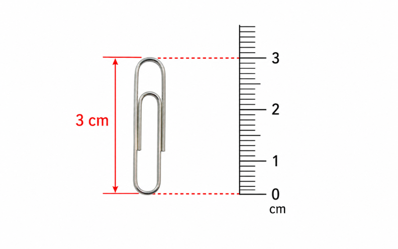 How Big is 3 cm 
