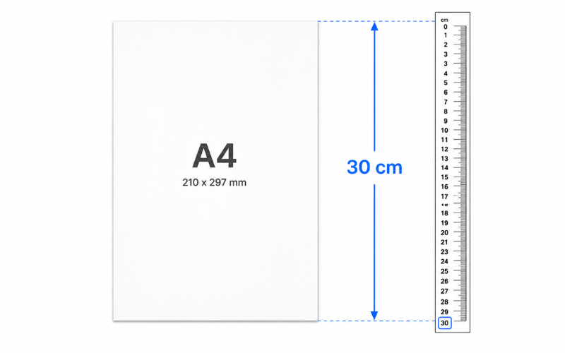 How Big is 30 Centimeters 