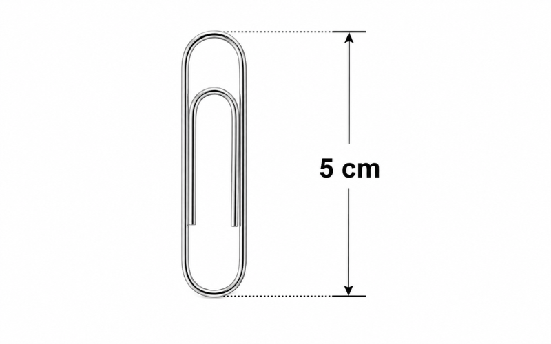 How Big is 5 cm