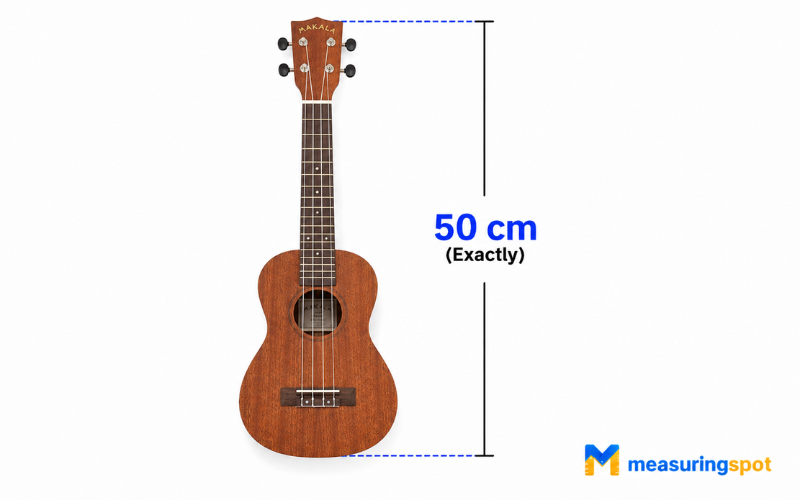 How Big is 50 Centimeters 