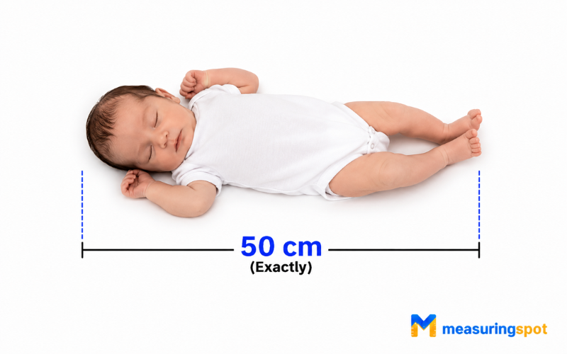 How Big is 50 Centimeters 