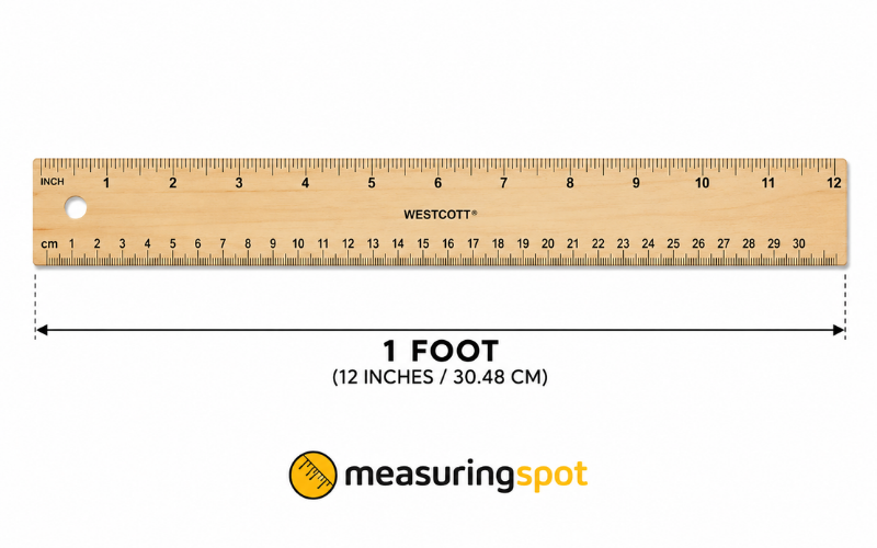 How Long is 1 Foot 