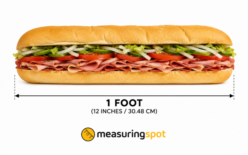 How Long is 1 Foot 
