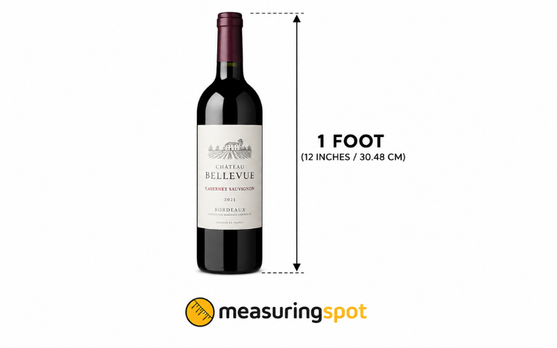 How Long is 1 Foot 