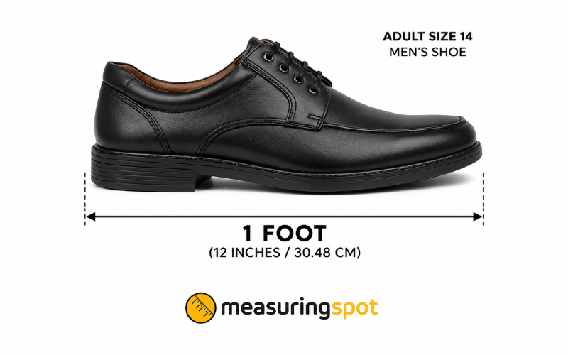 How Long is 1 Foot 