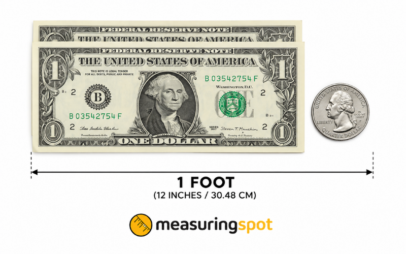 How Long is 1 Foot 