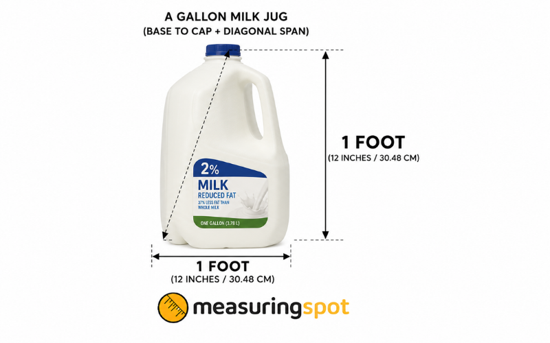 How Long is 1 Foot 