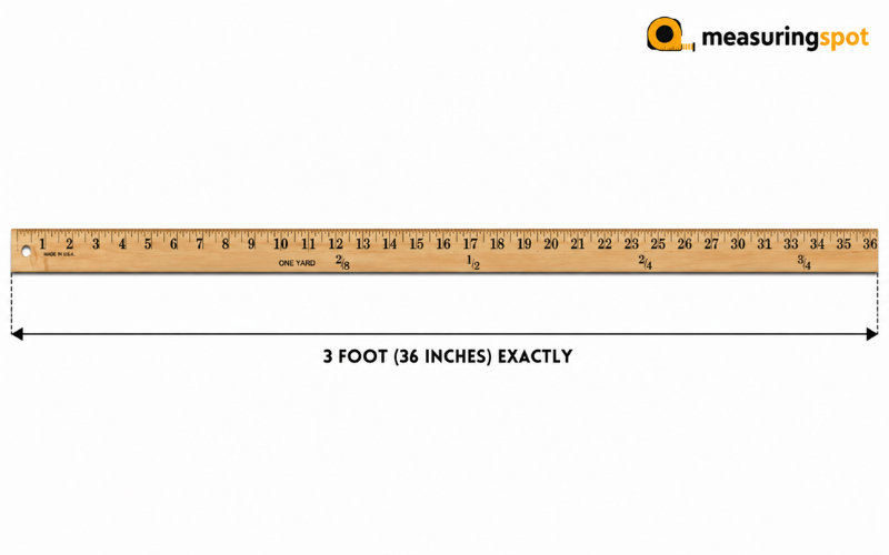 How Long is 3 Feet
