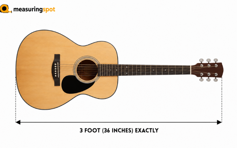 How Long is 3 Feet