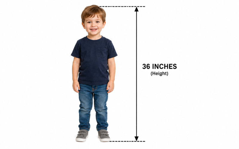 How Long is 36 Inches