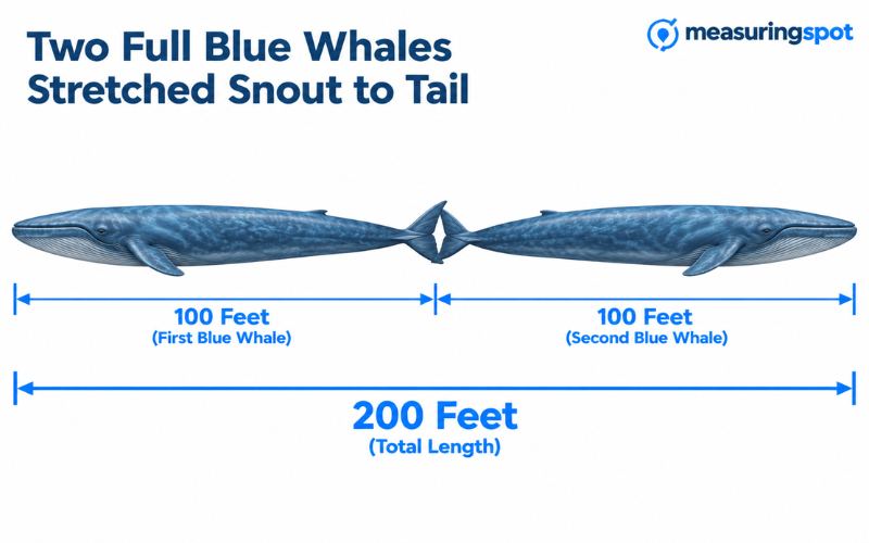 How Long is 200 Feet