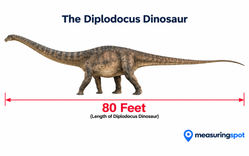 How Long is 80 Feet 