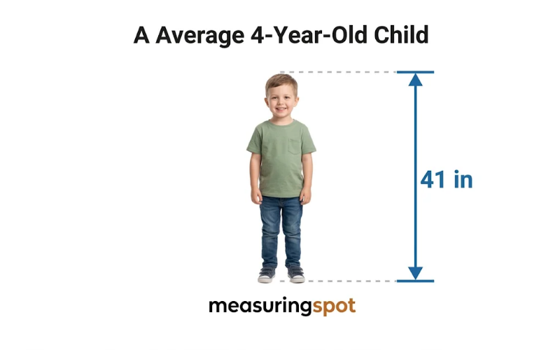 How Long is 41 Inches